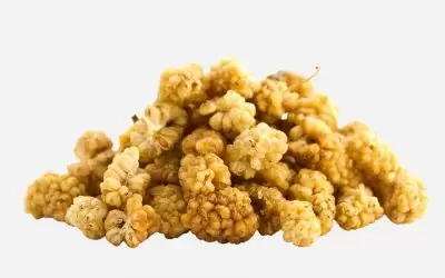 Dried Mulberry Dried Mulberry